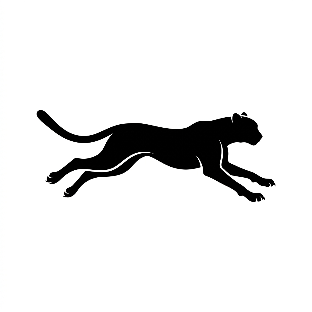 猎豹加速器 Cheetah VPN